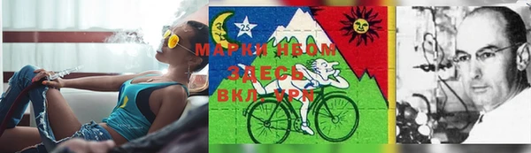 прущие крисы Алзамай