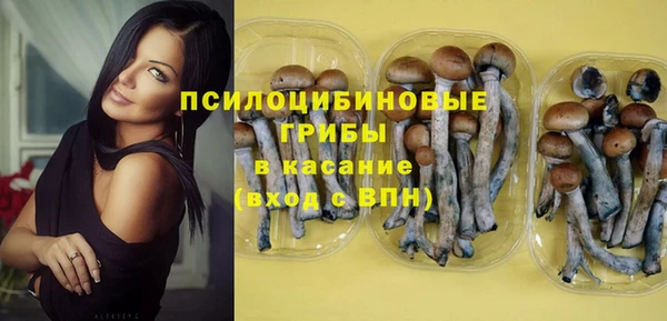 ГАЛЛЮЦИНОГЕННЫЕ ГРИБЫ Абаза