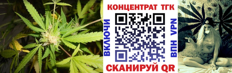 наркошоп МЕГА Дистиллят ТГК концентрат Устюжна